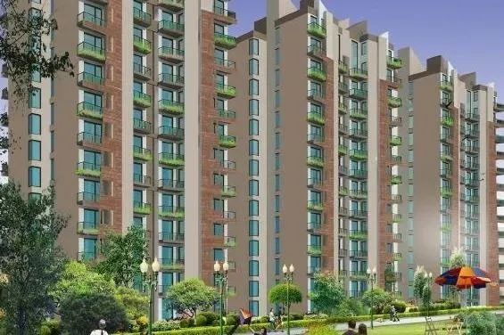 Caladium Gurgaon